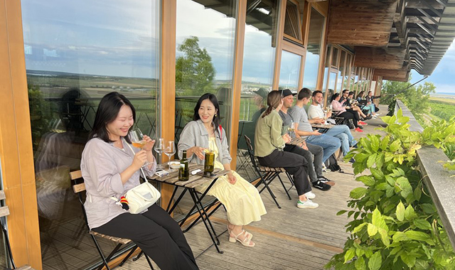 프라하 근교 남부 모라비아 와이너리 투어