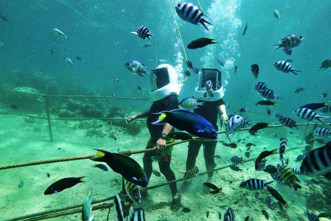 Kota Kinabalu Sapi Island Hopping Tour & Sea Walking & Banana Boat Package