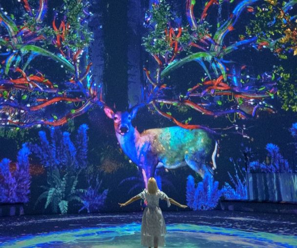 activity_detail_image