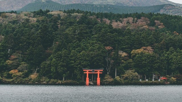 일본 데이터 무제한 eSIM 이심 (소프트뱅크 / DOCOMO / AIS)