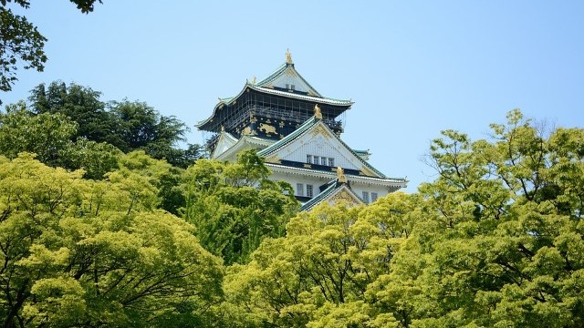 일본 데이터 무제한 eSIM 이심 (소프트뱅크 / DOCOMO / AIS)