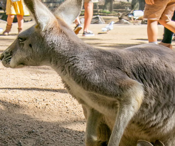 activity_detail_image