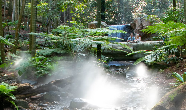 골드코스트 커럼빈 야생동물 공원 입장권