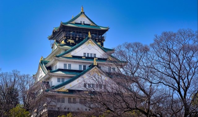 일본 LTE 무제한 유심 (택배 수령)