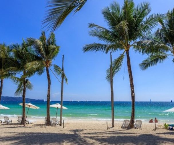 activity_detail_image