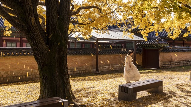 한국 데이터 무제한 eSIM 이심 (SKT / KT)