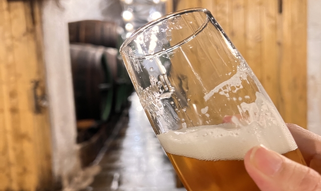 체코 프라하 근교 플젠 맥주 투어 (기차 탑승)