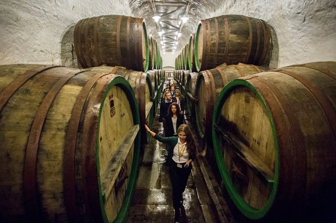 체코 프라하 근교 플젠 맥주 투어 (기차 탑승)