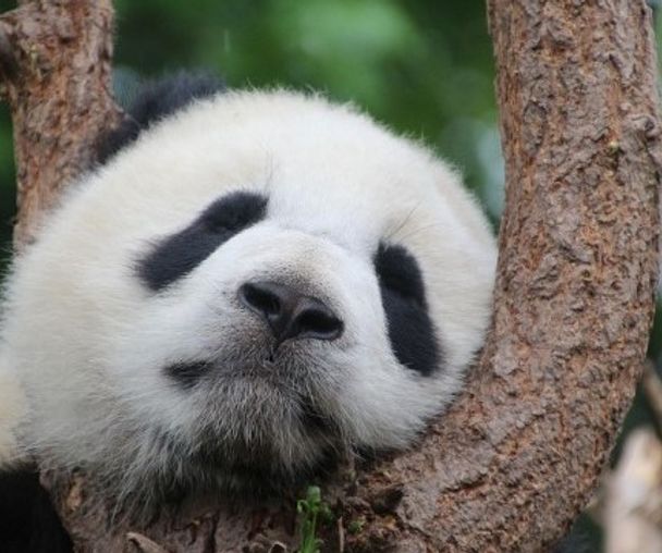 activity_detail_image