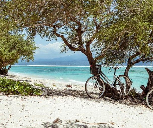 activity_detail_image