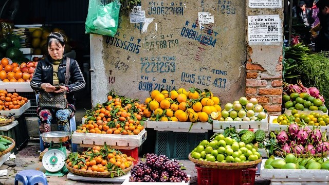 베트남 데이터 무제한 eSIM 이심 (비나폰 / 베트남 모바일 / AIS)