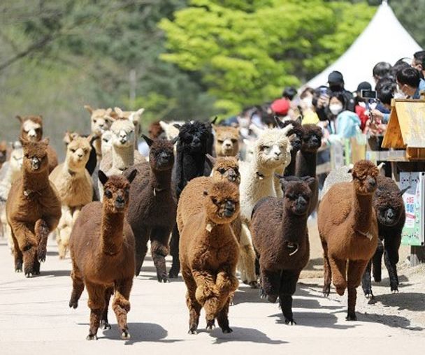 activity_detail_image