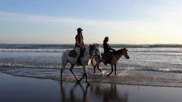 인도네시아 데이터 무제한 eSIM 이심 (XL / Indosat / AIS)