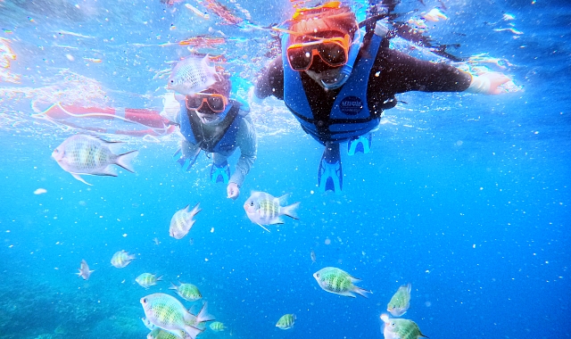 [보자무싸] 보홀 발리카삭 써니 오션 호핑투어