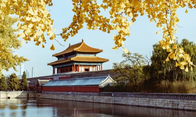 중국 4G LTE 데이터 무제한 유심 (택배 수령)