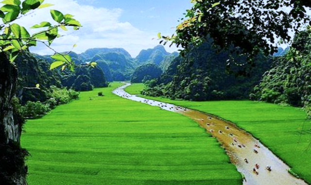 Ninh Binh from Hanoi: Trang An & Mua Cave Day Trip