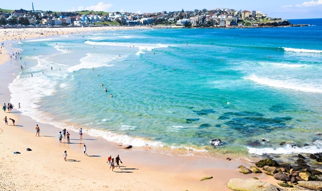 [아워스토리] 시드니 공항 픽업부터 호텔 체크인까지 근교 + 시티 투어 (4시간)