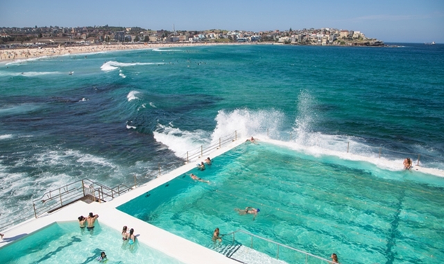 [아워스토리] 시드니 공항 픽업부터 호텔 체크인까지 근교 + 시티 투어 (4시간)
