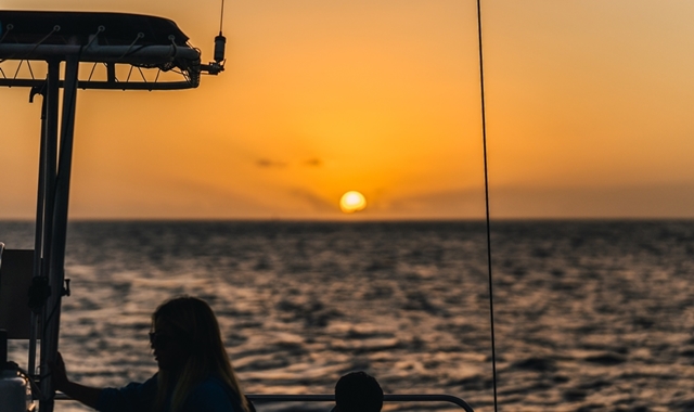 하와이 프리미엄 선셋 세일링 & 거북이 스노클링 & 해양 5종 액티비티 투어