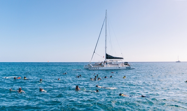 하와이 프리미엄 선셋 세일링 & 거북이 스노클링 & 해양 5종 액티비티 투어