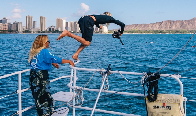 하와이 프리미엄 선셋 세일링 & 거북이 스노클링 & 해양 5종 액티비티 투어