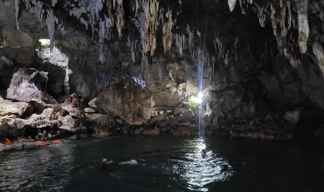 [보자무싸] 보홀 스노클링 투어 - 나팔링 정어리떼 & 히낙다난 동굴