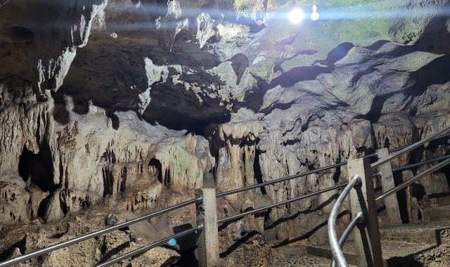 [보자무싸] 보홀 스노클링 투어 - 나팔링 정어리떼 & 히낙다난 동굴