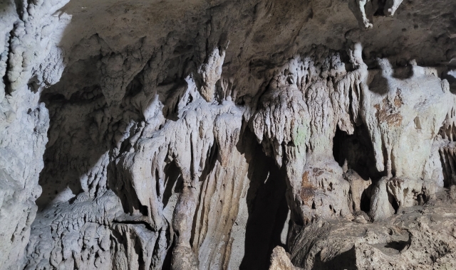 [보자무싸] 보홀 스노클링 투어 - 나팔링 정어리떼 & 히낙다난 동굴