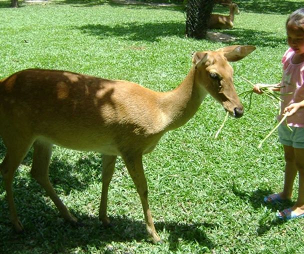 activity_detail_image