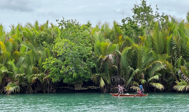 보홀 육상투어 A 코스 by 보자무싸 (로복강 & 초콜릿 힐)
