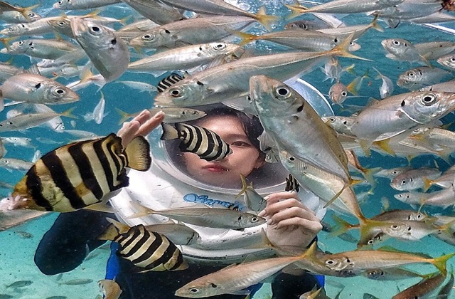 제주 언더워터플레이 씨워커