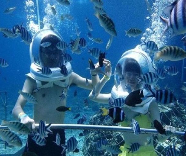 activity_detail_image