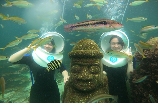 제주 언더워터플레이 씨워커