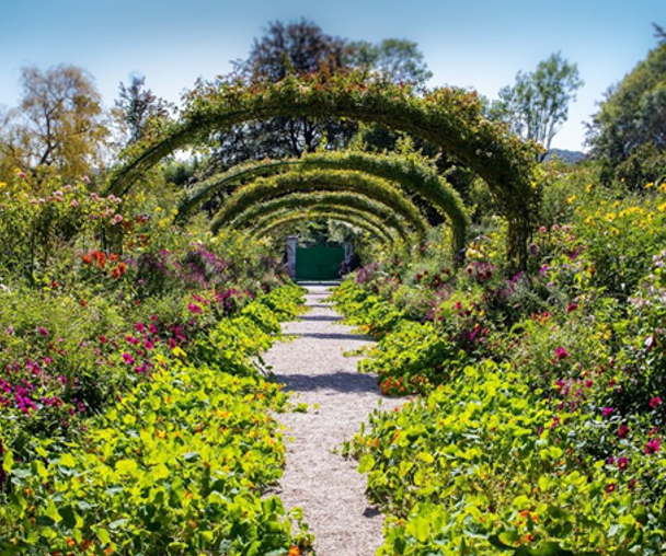 activity_detail_image