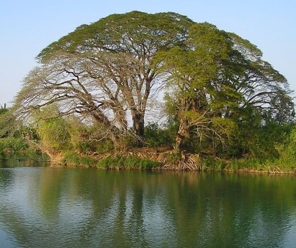 activity_detail_image