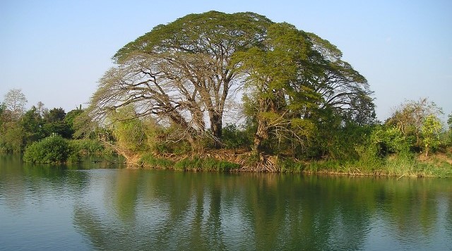 라오스 eSIM (유니텔)