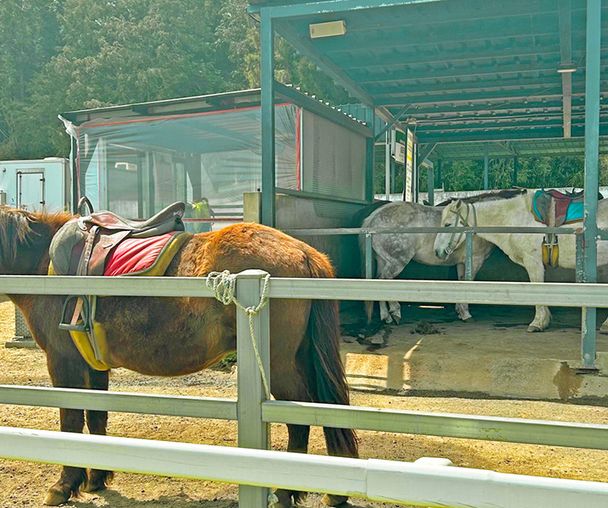 activity_detail_image