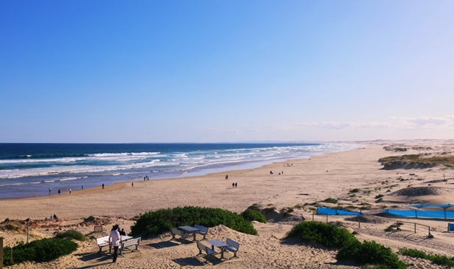 [아워스토리] 자유 일정 포트스테판 + 코알라 체험, 시크릿 포인트 프라이빗 투어