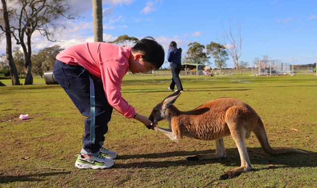[아워스토리] 자유 일정 포트스테판 + 코알라 체험, 시크릿 포인트 프라이빗 투어
