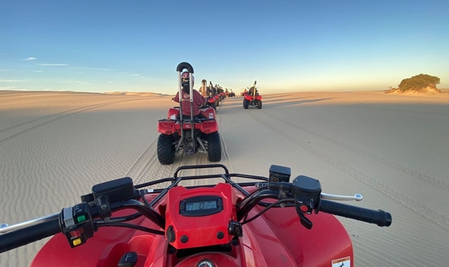 [아워스토리] 자유 일정 포트스테판 + 코알라 체험, 시크릿 포인트 프라이빗 투어