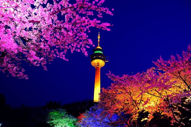 activity_detail_image