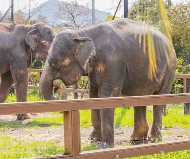 activity_detail_image