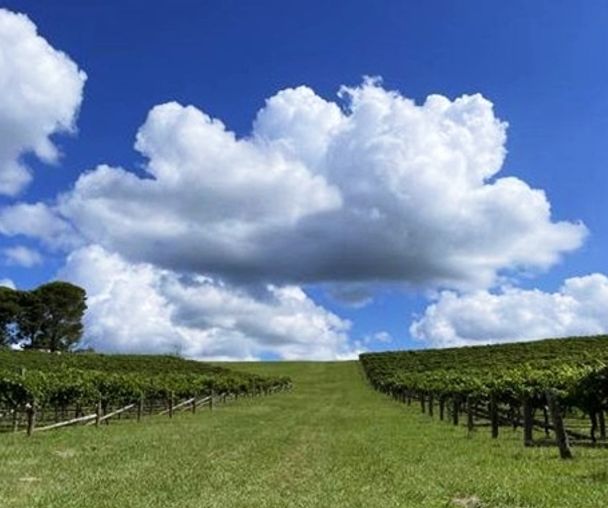 activity_detail_image