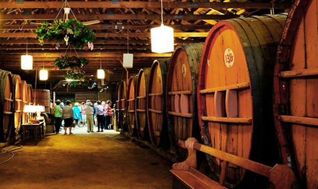 [아워스토리] 헌터벨리 와이너리 완전 정복 단독 투어