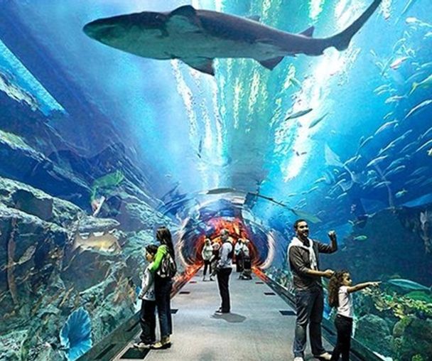 activity_detail_image