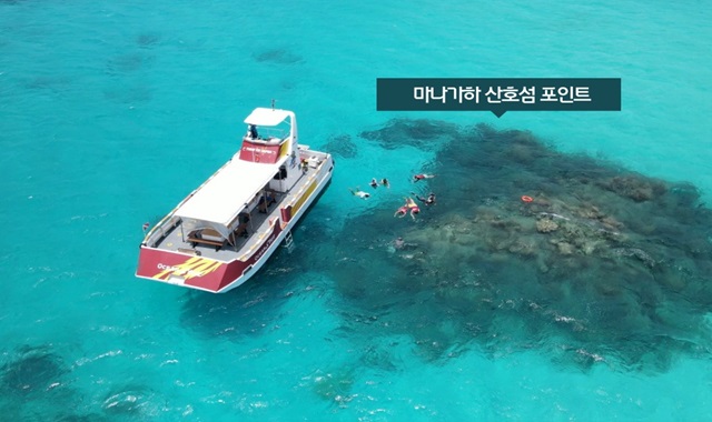 사이판 오션스타 거북이 호핑투어 + 마나가하 섬 투어