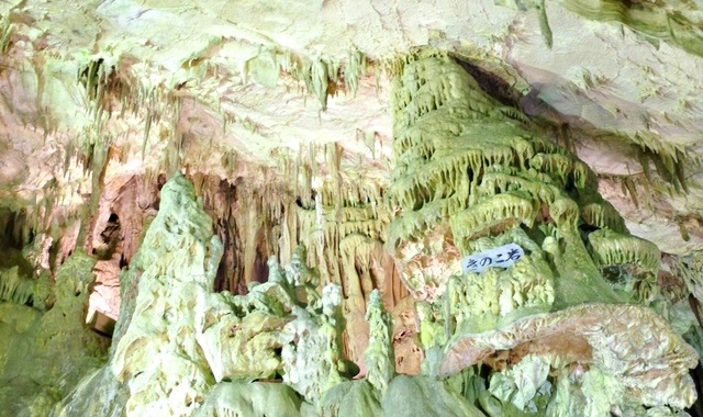 후쿠시마 아부쿠마 동굴 입장권