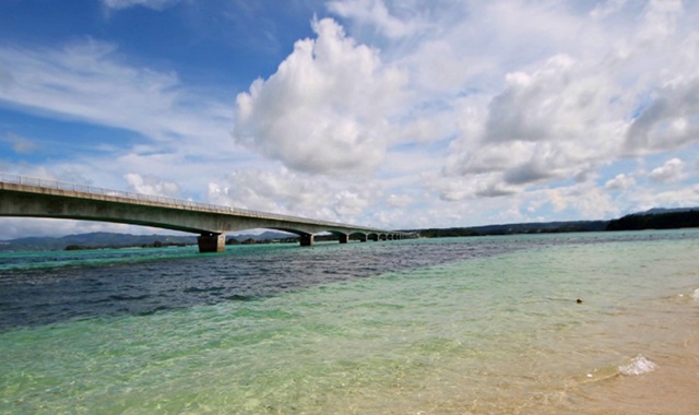 오키나와 북부 버스투어 - 츄라우미 수족관 & 만좌모 / 비세마을, 비세후쿠기, 코우리대교
