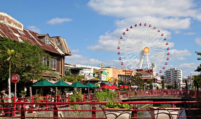 오키나와 북부 버스투어 - 츄라우미 수족관 & 만좌모 / 비세마을, 비세후쿠기, 코우리대교