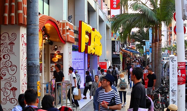 오키나와 북부 버스투어 - 츄라우미 수족관 & 만좌모 / 비세마을, 비세후쿠기, 코우리대교